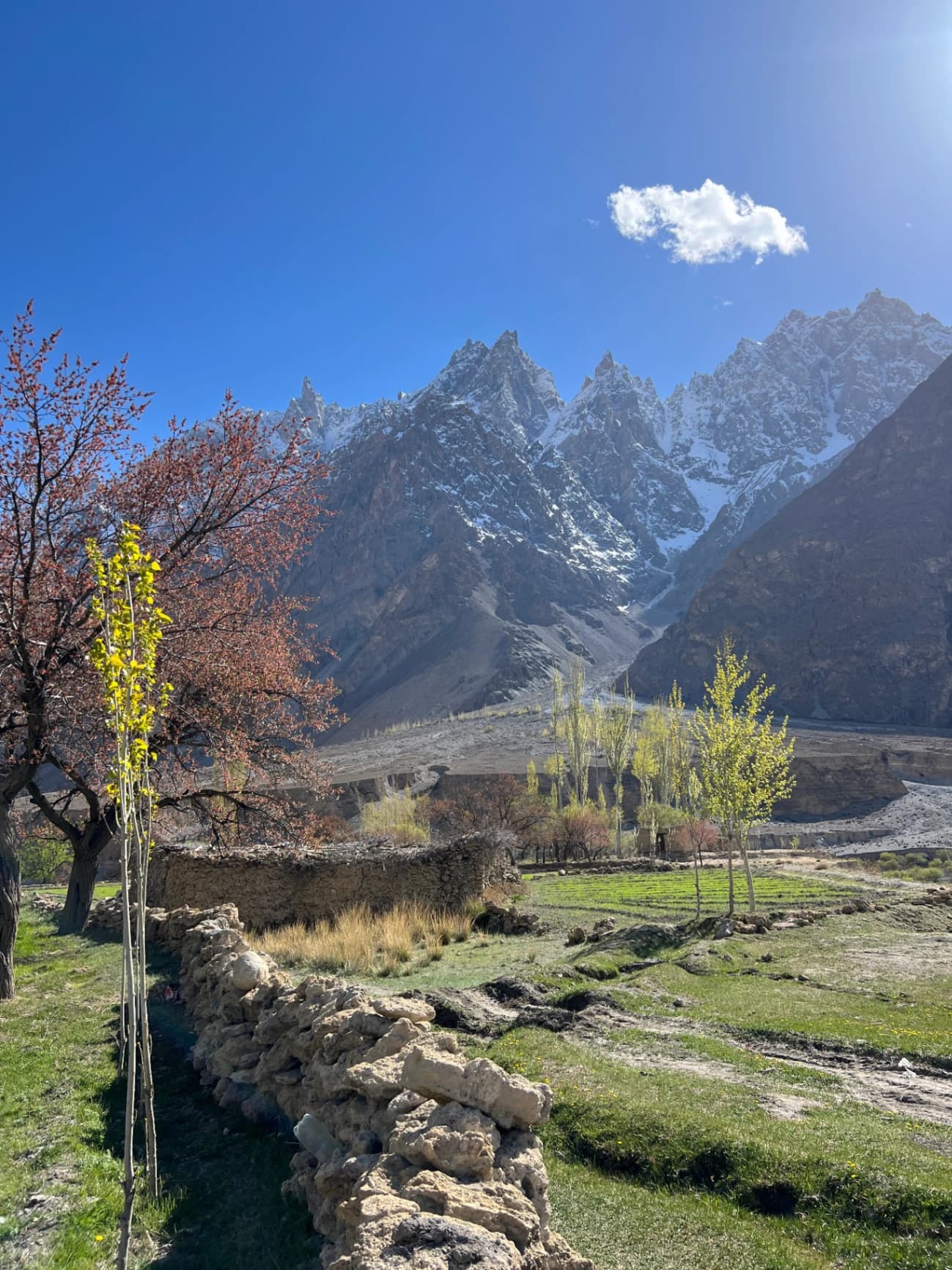 Trip gallery image 1