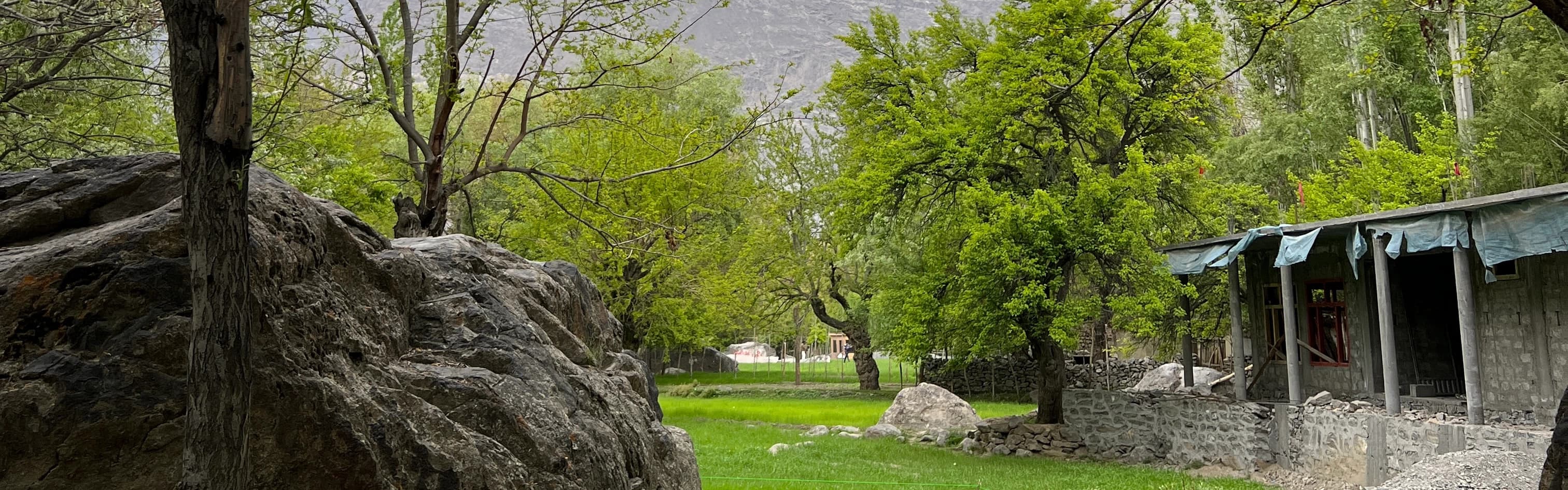 A 15 Days Blossom journey to hunza